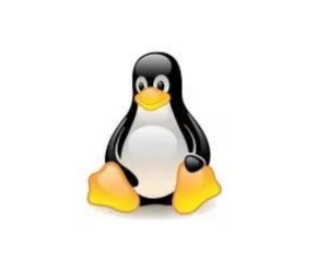 Inside Thinux: Uncovering the Key Features for Enhanced Thin Client Computing